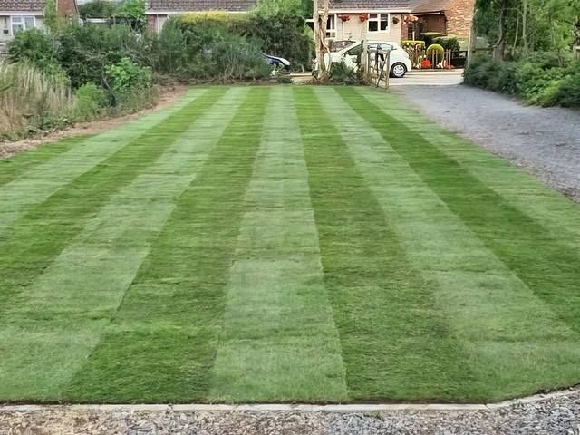 turfing-installers-6-kireth-ai