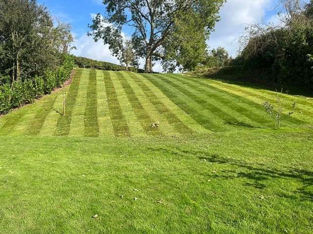 turfing-installers-2-kireth-ai